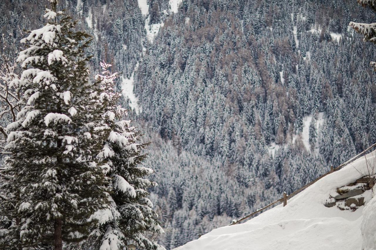 Hotel Alpenhof San Nicolò d'San Nicolò d'Ultimo Eksteriør billede