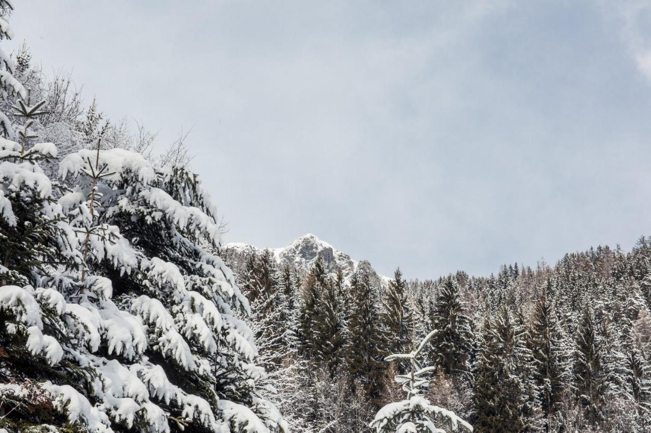 Hotel Alpenhof San Nicolò d'San Nicolò d'Ultimo Eksteriør billede