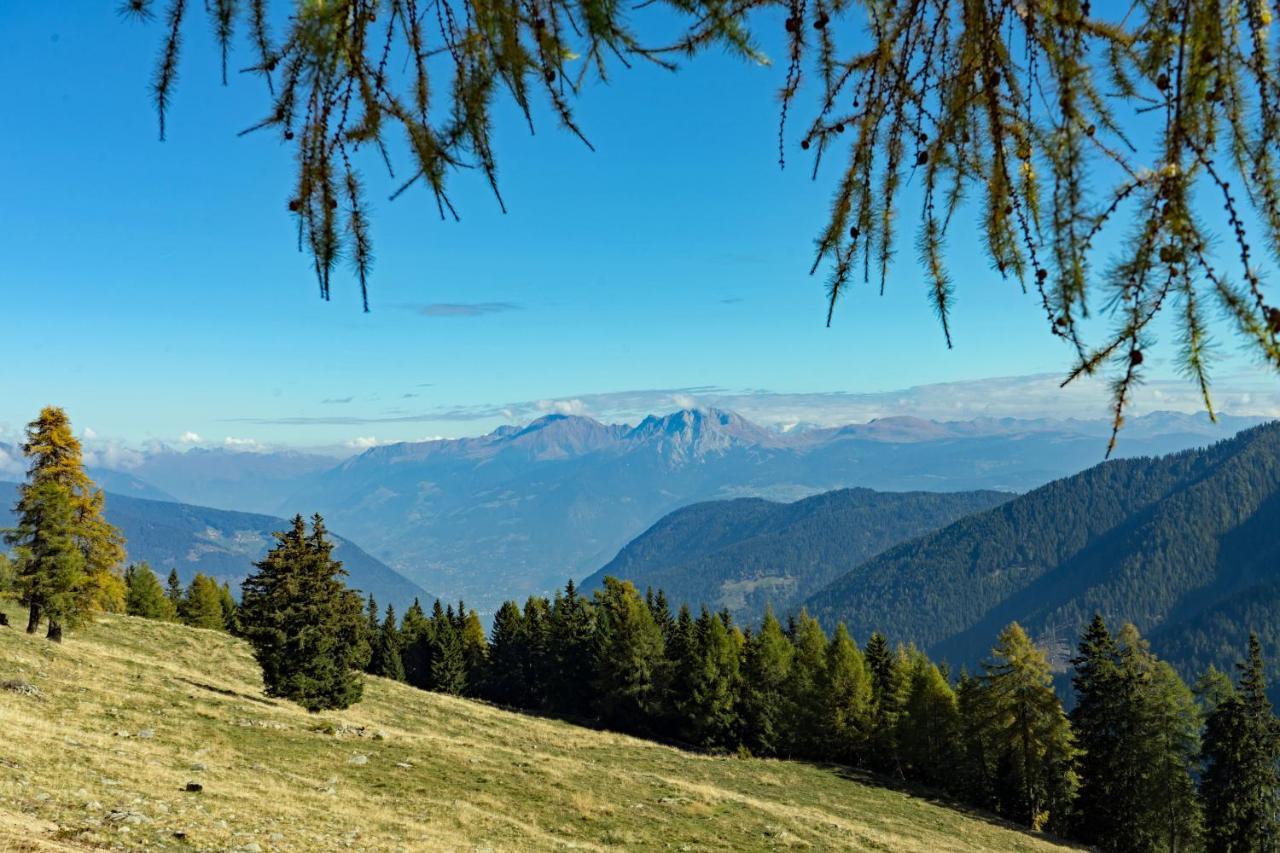 Hotel Alpenhof San Nicolò d'San Nicolò d'Ultimo Eksteriør billede